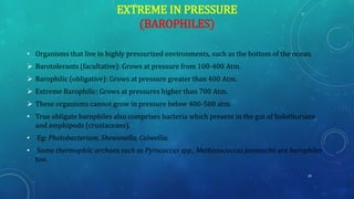 EXTREME IN PRESSURE
(BAROPHILES)
• Organisms that live in highly pressurized environments, such as the bottom of the ocean.
➢ Barotolerants (facultative): Grows at pressure from 100-400 Atm.
➢ Barophilic (obligative): Grows at pressure greater than 400 Atm.
➢ Extreme Barophilic: Grows at pressures higher than 700 Atm.
➢ These organisms cannot grow in pressure below 400-500 atm.
• True obligate barophiles also comprises bacteria which present in the gut of holothurians
and amphipods (crustaceans).
• Eg: Photobacterium, Shewanella, Colwellia.
• Some thermophilc archaea such as Pyrococcus spp., Methanococcus jannaschii are barophiles
too.
19
 