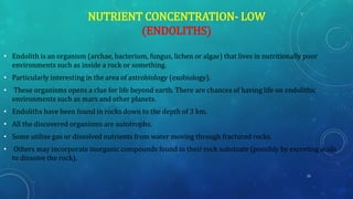 NUTRIENT CONCENTRATION- LOW
(ENDOLITHS)
• Endolith is an organism (archae, bacterium, fungus, lichen or algae) that lives in nutritionally poor
environments such as inside a rock or something.
• Particularly interesting in the area of astrobiology (exobiology).
• These organisms opens a clue for life beyond earth. There are chances of having life on endolithic
environments such as mars and other planets.
• Endoliths have been found in rocks down to the depth of 3 km.
• All the discovered organisms are autotrophs.
• Some utilize gas or dissolved nutrients from water moving through fractured rocks.
• Others may incorporate inorganic compounds found in their rock substrate (possibly by excreting acids
to dissolve the rock).
23
 