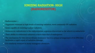 IONIZING RADIATION- HIGH
(RADIORESISTOR)
• Radioresistor :-
• Organisms resistant to high levels of ionizing radiation, most commonly UV radiation.
• Some capable of resisting nuclear radiation.
• Deinococcus radiodurans is the radioresistant organism discovered so far which is a eubacteria.
• Their ability to withstand radiation is more than that of endospores.
• The mechanism for this extraordinary resistance lies in a unique arrangement of its DNA that
facilitates a rapid repair of radiation damage.
• It is similarly resistant to many mutagenic chemicals.
26
 