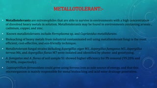 METALLOTOLERANT:-
• Metallotolerants are extremophiles that are able to survive in environments with a high concentration
of dissolved heavy metals in solution. Metallotolerants may be found in environments containing arsenic ,
cadmium, copper, and zinc.
• Known metallotolerants include Ferroplasma sp. and Cupriavidus metallidurans.
• Bioleaching of heavy metals from industrial contaminated soil using metallotolerant fungi is the most
efficient, cost-effective, and eco-friendly technique.
• Metallotolerant fungal strains including Aspergillus niger M1, Aspergillus fumigatus M3, Aspergillus
terreus M6, and Aspergillus flavus M7 were isolated and identified by pheno- and genotyping.
• A. fumigatus and A. flavus of soil sample S1 showed higher efficiency for Pb removal (99.20% and
99.30%, respectively).
• Leptospirillum ferrooxidans could grow using ferrous iron as sole source of energy, and that this
microorganism is mainly responsible for metal bioleaching and acid mine drainage generation.
27
 