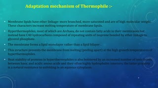 • Membrane lipids have ether linkage- more branched, more saturated and are of high molecular weight.
These characters increase melting temperature of membrane lipids.
• Hyperthermophiles, most of which are Archaea, do not contain fatty acids in their membranes but
instead have C40 hydrocarbons composed of repeating units of isoprene bonded by ether linkage to
glycerol phosphate.
• The membrane forms a lipid monolayer rather than a lipid bilayer .
• This structure prevents the membrane from melting (peeling apart) at the high growth temperatures of
hyperthermophiles.
• Heat stability of proteins in hyperthermophiles is also bolstered by an increased number of ionic bonds
between basic and acidic amino acids and their often highly hydrophobic interiors; the latter property
is a natural resistance to unfolding in an aqueous cytoplasm.
Adaptation mechanism of Thermophile :-
9
 