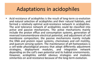 Adaptations in acidophiles
• Acid resistance of acidophiles is the result of long-term co-evolution
and natural selection of acidophiles and their natural habitats, and
formed a relatively optimal acid-resistance network in acidophiles.
The acid tolerance network of acidophiles could be classified into
active and passive mechanisms. The active mechanisms mainly
include the proton efflux and consumption systems, generation of
reversed transmembrane electrical potential, and adjustment of cell
membrane composition; the passive mechanisms mainly include
the DNA and protein repair systems, chemotaxis and cell motility,
and quorum sensing system. The maintenance of pH homeostasis is
a cell-wide physiological process that adopt differently adjustment
strategies, deployment modules, and integration network
depending on the cell’s own potential and its habitat environments.
However, acidophiles exhibit obvious strategies and modules
similarities on acid resistance because of the long-term evolution.
 