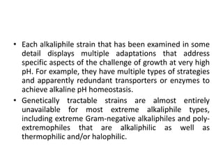 • Each alkaliphile strain that has been examined in some
detail displays multiple adaptations that address
specific aspects of the challenge of growth at very high
pH. For example, they have multiple types of strategies
and apparently redundant transporters or enzymes to
achieve alkaline pH homeostasis.
• Genetically tractable strains are almost entirely
unavailable for most extreme alkaliphile types,
including extreme Gram-negative alkaliphiles and poly-
extremophiles that are alkaliphilic as well as
thermophilic and/or halophilic.
 
