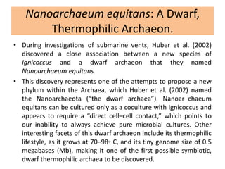 Nanoarchaeum equitans: A Dwarf,
Thermophilic Archaeon.
• During investigations of submarine vents, Huber et al. (2002)
discovered a close association between a new species of
Ignicoccus and a dwarf archaeon that they named
Nanoarchaeum equitans.
• This discovery represents one of the attempts to propose a new
phylum within the Archaea, which Huber et al. (2002) named
the Nanoarchaeota (“the dwarf archaea”). Nanoar chaeum
equitans can be cultured only as a coculture with Ignicoccus and
appears to require a “direct cell–cell contact,” which points to
our inability to always achieve pure microbial cultures. Other
interesting facets of this dwarf archaeon include its thermophilic
lifestyle, as it grows at 70–98◦ C, and its tiny genome size of 0.5
megabases (Mb), making it one of the first possible symbiotic,
dwarf thermophilic archaea to be discovered.
 