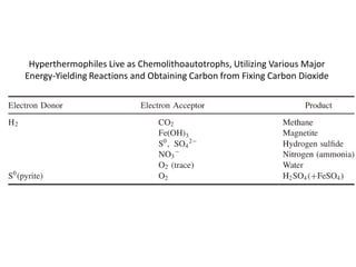 Hyperthermophiles Live as Chemolithoautotrophs, Utilizing Various Major
Energy-Yielding Reactions and Obtaining Carbon from Fixing Carbon Dioxide
 