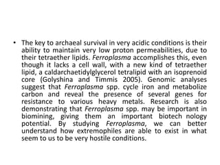 • The key to archaeal survival in very acidic conditions is their
ability to maintain very low proton permeabilities, due to
their tetraether lipids. Ferroplasma accomplishes this, even
though it lacks a cell wall, with a new kind of tetraether
lipid, a caldarchaetidylglycerol tetralipid with an isoprenoid
core (Golyshina and Timmis 2005). Genomic analyses
suggest that Ferroplasma spp. cycle iron and metabolize
carbon and reveal the presence of several genes for
resistance to various heavy metals. Research is also
demonstrating that Ferroplasma spp. may be important in
biomining, giving them an important biotech nology
potential. By studying Ferroplasma, we can better
understand how extremophiles are able to exist in what
seem to us to be very hostile conditions.
 