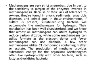 • Methanogens are very strict anaerobes, due in part to
the sensitivity to oxygen of the enzymes involved in
methanogenesis. Because of their lack of tolerance to
oxygen, they’re found in anoxic sediments, anaerobic
digestors, and animal guts. In these environments, if
sulfate is present, sulfate-reducing bacteria will
outcompete the methanogens for hydrogen. Their
metabolism has been well characterized, and we know
that almost all methanogens can utilize hydrogen to
reduce carbon dioxide, while some methanogens can
utilize formate as the electron donor and fewer
methanogens can use alcohols. A few other
methanogens utilize C1 compounds containing methyl
or acetate. The production of methane provides
substantial energy for the organisms Methanogens
often live syntrophically with other bacteria, such as
fatty-acid-oxidizing bacteria.
 