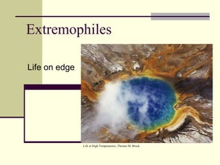 Extremophiles
Life on edge
Life at High Temperatures, Thomas M. Brock
 