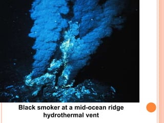 Black smoker at a mid-ocean ridge
hydrothermal vent
 