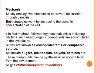 Mechanism
Mainly employ two mechanism to prevent desiccation
through osmosis.
Both strategies work by increasing the osmotic
concentration of the cell.
1.In first method (followed my most halophiles including
bacteria, archae etc) organic compounds are accumulated
in the cytoplasm.
They are known as osmoprotectants or compatible
solutes.
It include sugars, aminoacids, polyols, betaines etc.
These compounds can be synthesised or accumulated
from the environment.
Eg: Ectothiorhodospira halochloris
 