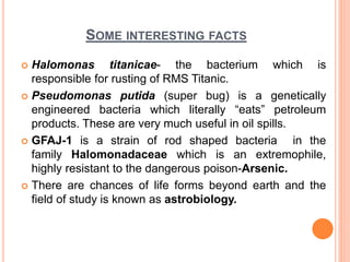 SOME INTERESTING FACTS
 Halomonas titanicae- the bacterium which is
responsible for rusting of RMS Titanic.
 Pseudomonas putida (super bug) is a genetically
engineered bacteria which literally “eats” petroleum
products. These are very much useful in oil spills.
 GFAJ-1 is a strain of rod shaped bacteria in the
family Halomonadaceae which is an extremophile,
highly resistant to the dangerous poison-Arsenic.
 There are chances of life forms beyond earth and the
field of study is known as astrobiology.
 