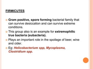 FIRMICUTES
 Gram positive, spore forming bacterial family that
can survive desiccation and can survive extreme
conditions.
 This group also is an example for extremophilic
true bacteria (eubacteria).
 Plays an important role in the spoilage of beer, wine
and cider.
 Eg: Helicobacterium spp, Mycoplasma,
Clostridium spp.
 