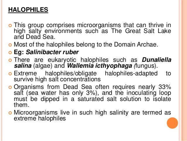 Extremopilic microorganisms