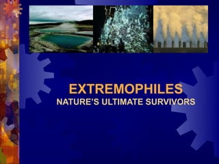 EXTREMOPHILES
NATURE’S ULTIMATE SURVIVORS
 