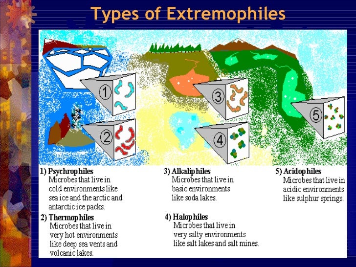 neurocutaneous disorders cop 2004