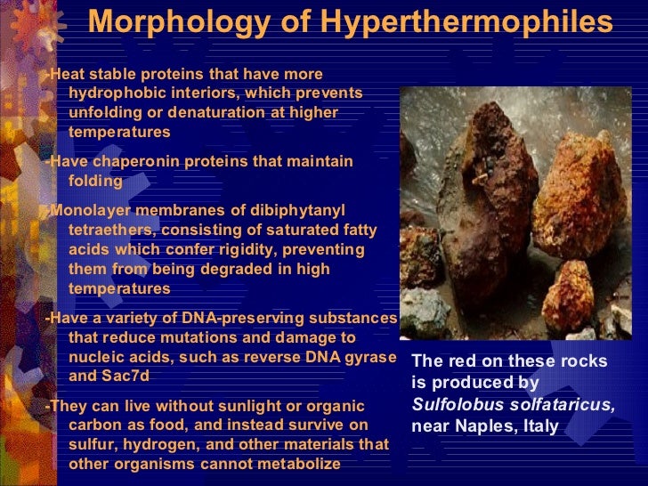 Extremophiles imp. 1