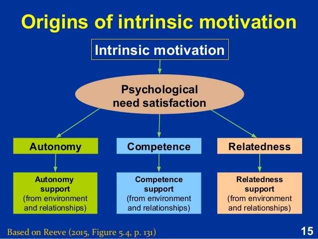  Extrinsic motivation 