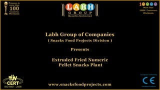 Labh Group of Companies
( Snacks Food Projects Division )

           Presents

  Extruded Fried Numeric
     Pellet Snacks Plant



 www.snacksfoodprojects.com
 