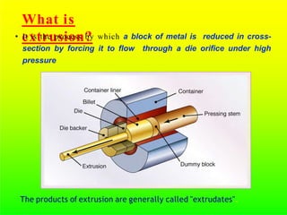 Extrusion of Metals | PPTX