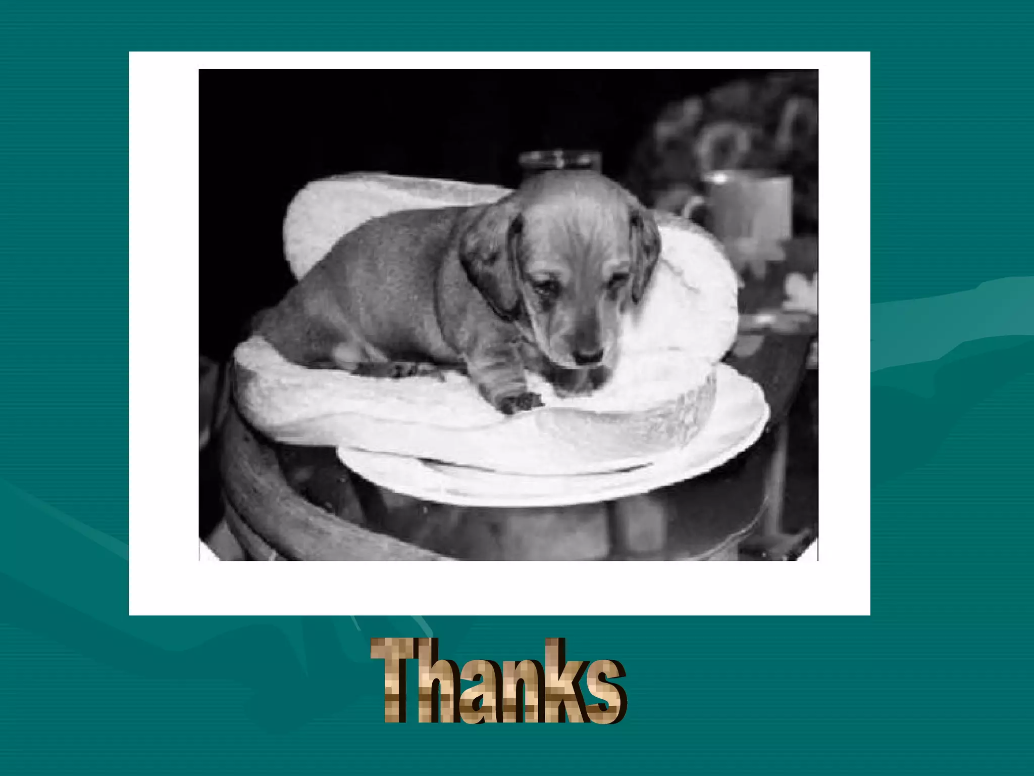 Extrusion processing for feed 