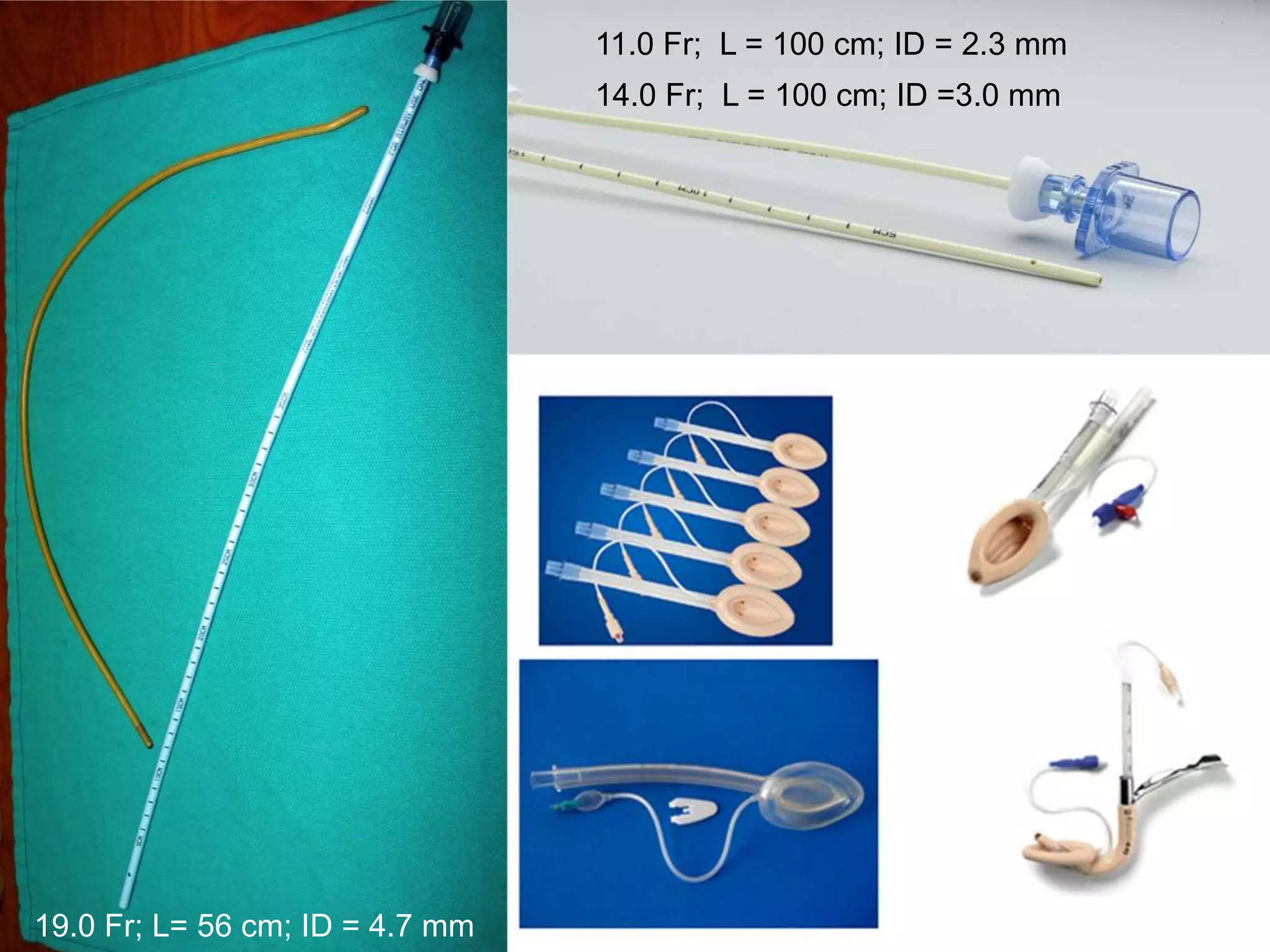 11.0 Fr; L = 100 cm; ID = 2.3 mm
14.0 Fr; L = 100 cm; ID =3.0 mm
19.0 Fr; L= 56 cm; ID = 4.7 mm
 