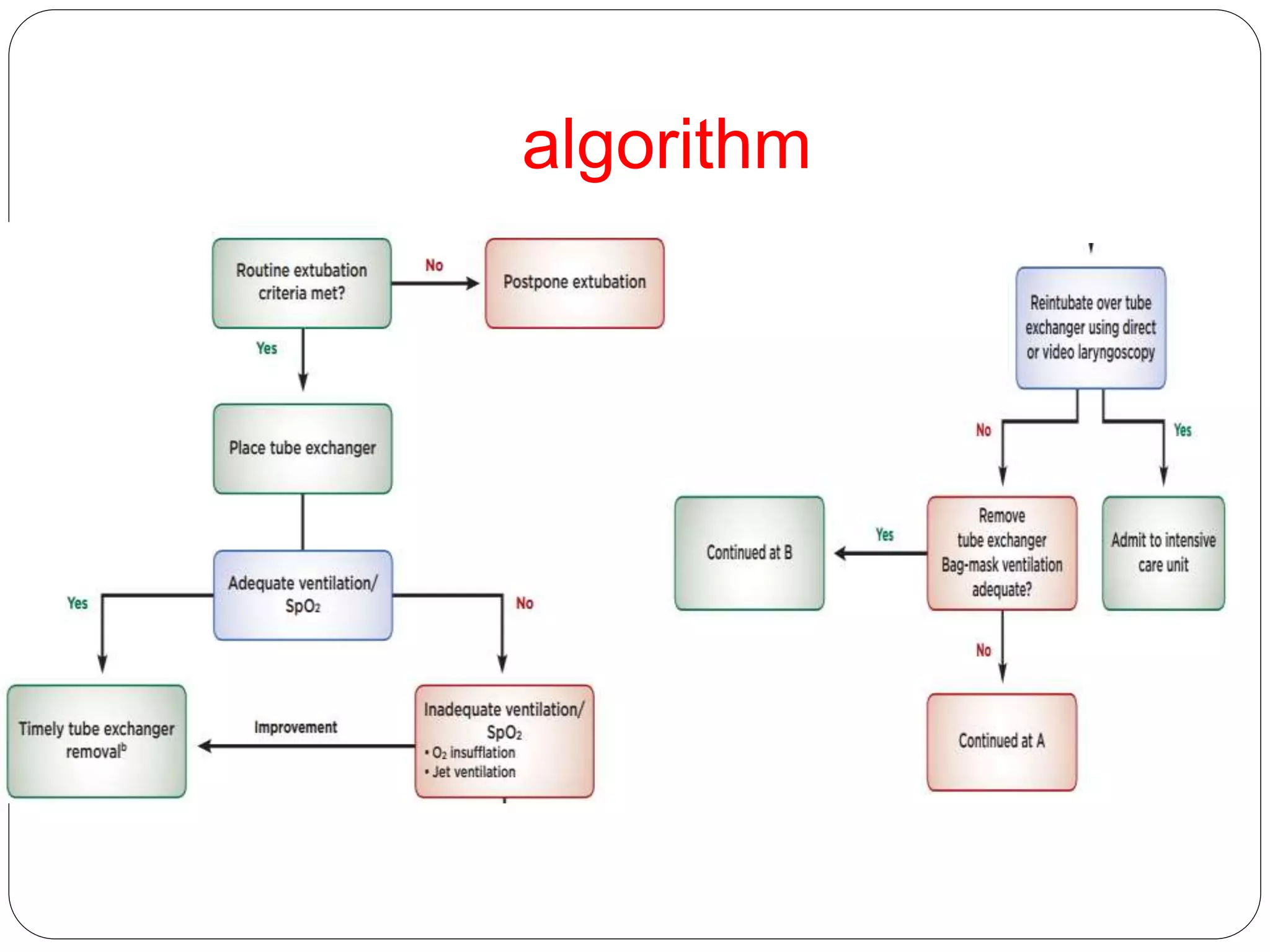 algorithm
 