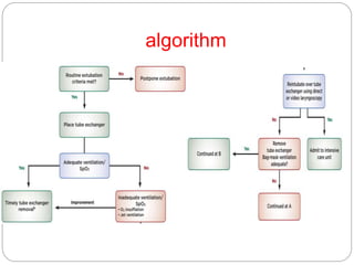 algorithm
 