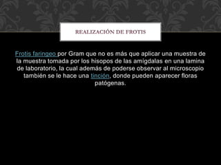 Frotis faringeo por Gram que no es más que aplicar una muestra de 
la muestra tomada por los hisopos de las amígdalas en una lamina 
de laboratorio, la cual además de poderse observar al microscopio 
también se le hace una tinción, donde pueden aparecer floras 
patógenas. 
 
