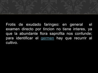 Frotis de exudado faringeo: en general el 
examen directo por tincion no tiene interes, ya 
que la abundante flora saprofita nos confunde; 
para identificar el germen hay que recurrir al 
cultivo. 
 