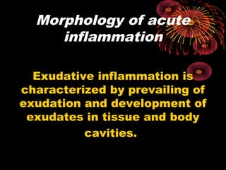 Morphology of acute 
inflammation 
Exudative inflammation is 
characterized by prevailing of 
exudation and development of 
exudates in tissue and body 
cavities. 
 