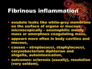 Fibrinous inflammation 
• exudate looks like white-grey membrane 
on the surface of organs or mucous, 
microscopically – eosinophilic meshy 
mass or amorphous coagulating mass, 
• appears more often in body cavities and 
mucous, 
• causes – streptococci, staphylococci, 
corynebacterium diphteriae and 
shigella, autointoxication, 
• outcomes: sclerosis (usually), resolution 
(very seldom). 
 