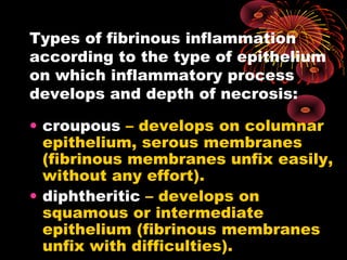 Types of fibrinous inflammation 
according to the type of epithelium 
on which inflammatory process 
develops and depth of necrosis: 
• croupous – develops on columnar 
epithelium, serous membranes 
(fibrinous membranes unfix easily, 
without any effort). 
• diphtheritic – develops on 
squamous or intermediate 
epithelium (fibrinous membranes 
unfix with difficulties). 
 