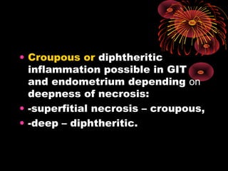 • Croupous or diphtheritic 
inflammation possible in GIT 
and endometrium depending on 
deepness of necrosis: 
• -superfitial necrosis – croupous, 
• -deep – diphtheritic. 
 