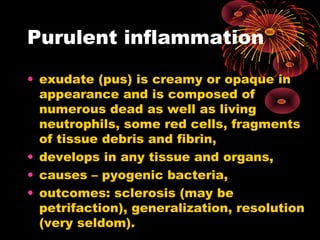 Purulent inflammation 
• exudate (pus) is creamy or opaque in 
appearance and is composed of 
numerous dead as well as living 
neutrophils, some red cells, fragments 
of tissue debris and fibrin, 
• develops in any tissue and organs, 
• causes – pyogenic bacteria, 
• outcomes: sclerosis (may be 
petrifaction), generalization, resolution 
(very seldom). 
 