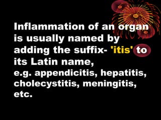 Inflammation of an organ 
is usually named by 
adding the suffix- 'itis' to 
its Latin name, 
e.g. appendicitis, hepatitis, 
cholecystitis, meningitis, 
etc. 
 