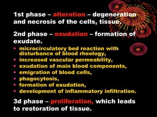 1st phase – alteration – degeneration 
and necrosis of the cells, tissue. 
2nd phase – exudation – formation of 
exudate. 
• microcirculatory bed reaction with 
disturbance of blood rheology, 
• increased vascular permeability, 
• exudation of main blood components, 
• emigration of blood cells, 
• phagocytosis, 
• formation of exudation, 
• development of inflammatory infiltration. 
3d phase – proliferation, which leads 
to restoration of tissue. 
 