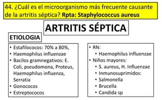 44. ¿Cuál es el microorganismo más frecuente causante
de la artritis séptica? Rpta: Staphylococcus aureus
• Estafilococos: 70% a 80%,
• Haemophilus influenzae
• Bacilos gramnegativos: E.
Coli, pseudomona, Proteus,
Haemophilus influenza,
Serratia
• Gonococos
• Estreptococos
• RN:
• Haemophilus influenzae
• Niños mayores:
• S. aureus, H. Influenzae
• Inmunosuprimidos:
• Salmonella
• Brucella
• Candida sp
ETIOLOGIA
ARTRITIS SÉPTICA
 