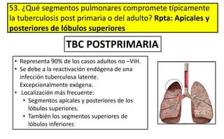 53. ¿Qué segmentos pulmonares compromete típicamente
la tuberculosis post primaria o del adulto? Rpta: Apicales y
posteriores de lóbulos superiores
TBC POSTPRIMARIA
• Representa 90% de los casos adultos no –VIH.
• Se debe a la reactivación endógena de una
infección tuberculosa latente.
Excepcionalmente exógena.
• Localización más frecuente:
• Segmentos apicales y posteriores de los
lóbulos superiores.
• También los segmentos superiores de
lóbulos inferiores
 