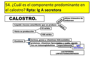 54. ¿Cuál es el componente predominante en
el calostro? Rpta: Ig A secretora
CALOSTRO.
•Líquido viscoso amarillento que se produce
último trimestre de
embarazo
•Varía su producción
10 ml/día
100 ml/día
•Contiene
lactosa, grasa y vitaminas hidrosolubles
proteínas, vitaminas liposolubles y sodio, siendo
rico en inmunoglobulinas especialmente IgA
secretora
LACTOFERINA-
LINFOCITOSMACROFAGOS
 