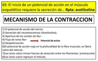 69. El inicio de un potencial de acción en el músculo
esquelético requiere la secreción de… Rpta: acetilcolina
1) El potencial de acción del nervio.
2) Secreción del neurotransmisor (Acetilcolina).
3) Apertura de los canales de Na+ .
4) Flujo de iones Na+
5) Despolarización.
6)El potencial de acción viaja en la profundidad de la fibra muscular, se libera
calcio del retículo.
7)Los iones calcio inician fuerzas de atracción entre los filamentos. (contracción)
8)Los iones calcio regresan al retículo.
MECANISMO DE LA CONTRACCION
 