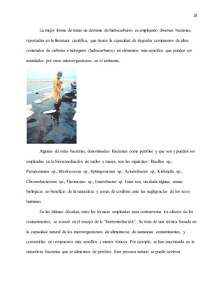 18
La mejor forma de tratar un derrame de hidrocarburos es empleando diversas bacterias,
reportadas en la literatura científica, que tienen la capacidad de degradar compuestos de altos
contenidos de carbono e hidrógeno (hidrocarburos) en elementos más sencillos que pueden ser
asimilados por otros microorganismos en el ambiente.
Algunas de estas bacterias, denominadas Bacterias come petróleo y que son y pueden ser
empleadas en la biorremediación de suelos y mares, son las siguientes: Bacillus sp.,
Pseudomonas sp., Rhodococcus sp., Sphingomonas sp., Acinetobacter sp., Klebsiella sp.,
Chromobacterium sp., Flavimonas sp., Enterobacter sp. Estas son, sin duda alguna, armas
biológicas en beneficio de la naturaleza y armas de combate ante las negligencias de los seres
humanos.
En las últimas décadas, entre las técnicas empleadas para contrarrestar los efectos de los
contaminantes, se avanzó en el ensayo de la “biorremediación”. Se trata de una técnica basada en
la capacidad natural de los microorganismos de alimentarse de sustancias contaminantes, y
convertirlas en compuestos más sencillos y menos tóxicos. Por ejemplo, se han encontrado en la
naturaleza bacterias que se alimentan de petróleo. Este proceso natural se puede acelerar
 