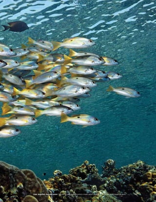 Clear direction, focused vision  How do private equity investors create value? A study of 2011–12 North American exits
 