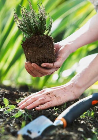 73Beginning of a new era |
 