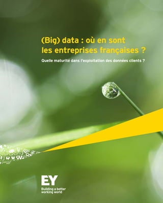 (Big) data : où en sont 
les entreprises françaises ? 
Quelle maturité dans l'exploitation des données clients ? 
 