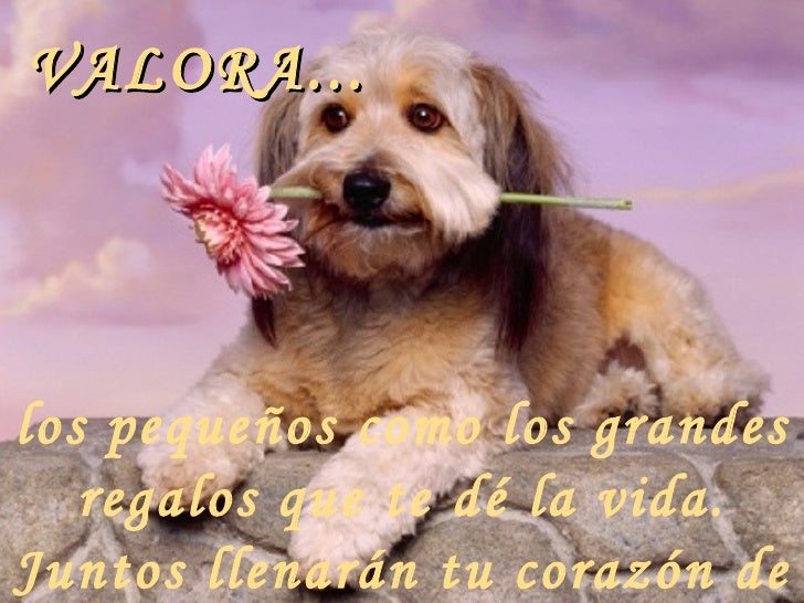 Resultado de imagen para Arriba ese ánimo