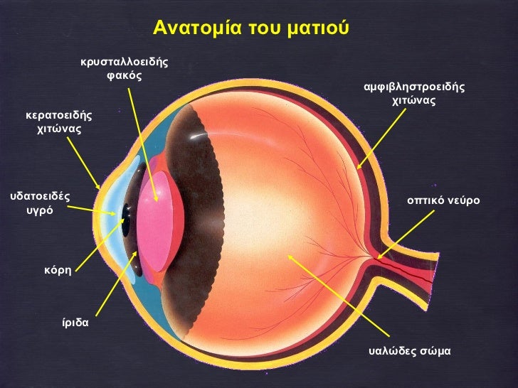 Αποτέλεσμα εικόνας για φυσικη στ το ματι μας