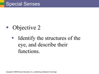 Copyright © 2006 Pearson Education, Inc., publishing as Benjamin Cummings
Special Senses
 Objective 2
 Identify the structures of the
eye, and describe their
functions.
 