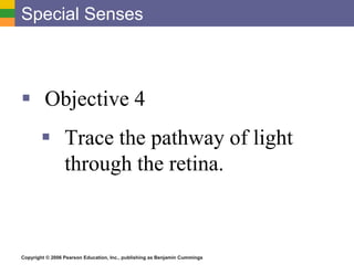 Copyright © 2006 Pearson Education, Inc., publishing as Benjamin Cummings
Special Senses
 Objective 4
 Trace the pathway of light
through the retina.
 