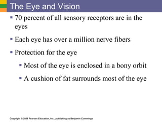Copyright © 2006 Pearson Education, Inc., publishing as Benjamin Cummings
The Eye and Vision
 70 percent of all sensory receptors are in the
eyes
 Each eye has over a million nerve fibers
 Protection for the eye
 Most of the eye is enclosed in a bony orbit
 A cushion of fat surrounds most of the eye
 