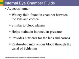 Copyright © 2006 Pearson Education, Inc., publishing as Benjamin Cummings
Internal Eye Chamber Fluids
 Aqueous humor
 Watery fluid found in chamber between
the lens and cornea
 Similar to blood plasma
 Helps maintain intraocular pressure
 Provides nutrients for the lens and cornea
 Reabsorbed into venous blood through the
canal of Schlemm
 